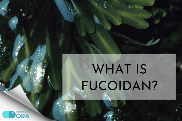 Read more about the article Fucoidan là gì?
